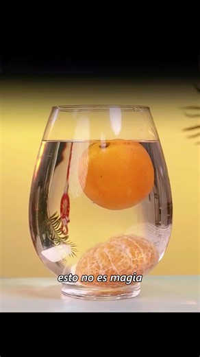 Simple At-Home Physics and Chemistry Experiments for Beginners