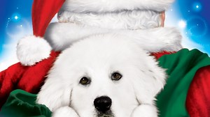 Zampa e la magia del Natale - Apple TV