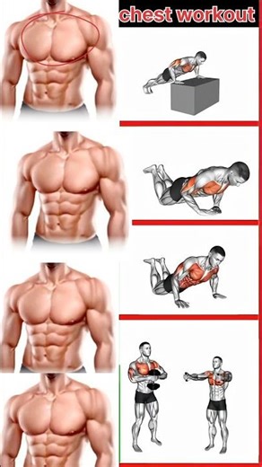 The Most Effective Chest Workout Techniques