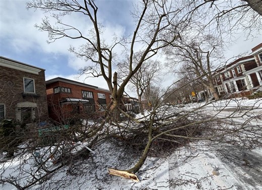 High winds knock out power, cause damage across Quebec