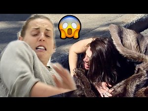 Hit By A Car - Hit And Run!! | Just For Laughs Gags