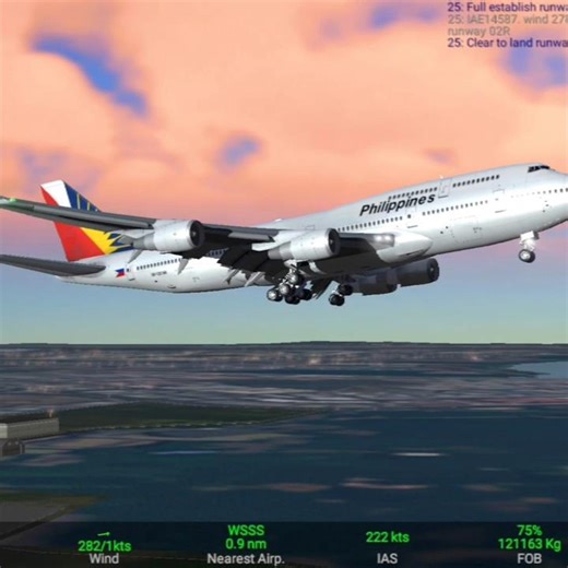 Philippine Airlines Engine Power | Real Flight #Shorts