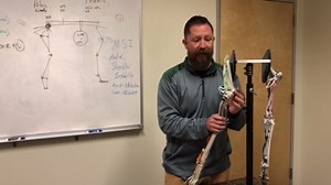 Hobbles Vest Biomechanics & Fitting Technique