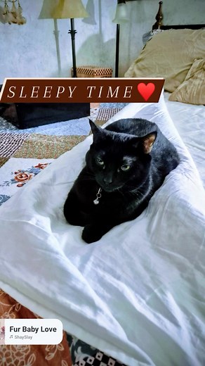 Elizabeth Brown on Reels