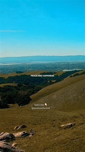 You are your first priority #shorts #viralvideo #quotes #motivation