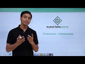 Class 11th – Protozoans – Introduction | Biological Classification | Tutorials Point