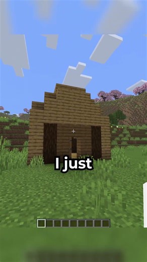 SINGING CAT in Minecraft Fake? 💀