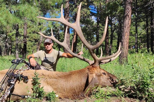The Definitive Guide to Elk Hunting in New Mexico - Game & Fish