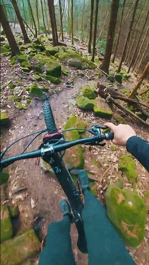 Full Power oder Light E-MTB? Propain Sresh SL im Test #mtb