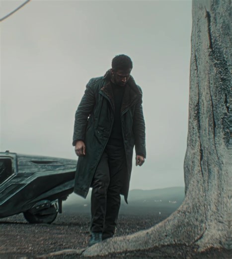 I think I loved the illusion… #ryangosling #ryangoslingedit #bladerunner2049 #fyp