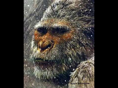 Sasquatch Vocalizations and Sounds - Part 1
