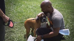 Right now, you have the power to help us rescue and care for neglected animals that need us in this time of crisis. Your urgent gift can help support our lifesaving efforts and allow our team to stay prepared during the COVID-19 pandemic, natural disasters and beyond. Just $19 a month can make all the difference for innocent animals nationwide. Together, we can ensure that critical supplies, care and protection are given to those who need us most. Please donate today. | ASPCA