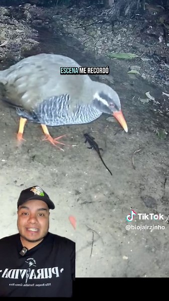 Una Salamandra que se Salvó por Poco