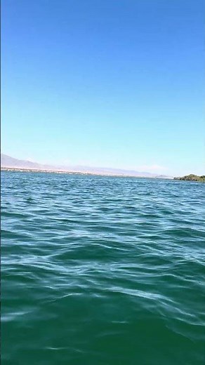 Paddle Lake Havasu  Best Kayaking Destination in Arizona #shorts