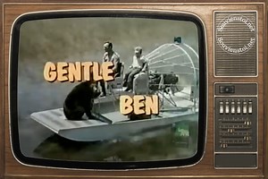 Mon ami Ben (Gentle Ben) est une série télévisée américaine pour la jeunesse en 56 épisodes de 26 minutes créée par Ivan Tors et diffusée du 10 septembre 1967 au 27 avril 1969 sur le réseau CBS. En France, la série a été diffusée pour la première fois à partir du 8 mai 1969 sur la première chaîne de l'ORTF. Avec Clint Howard, Dennis Weaver, Beth Brickell, Rance Howard, Jack Morley... Synopsis Depuis la disparition de ses parents, Mark est confié à son oncle, un garde-chasse. Ils vivent en Florid