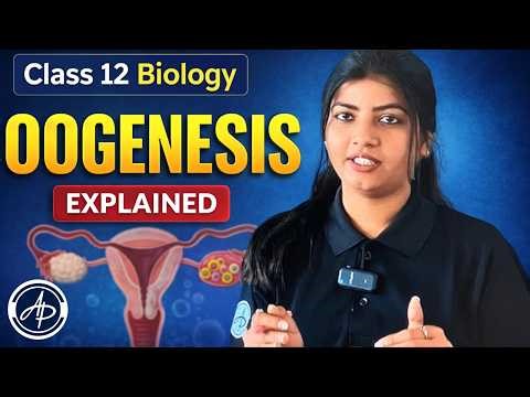 Oogenesis | Female Reproductive System | Class 12th Biology
