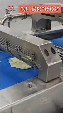Start or Upgrade Your Frozen Food Factory | Spring Roll Production Solution