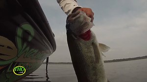 Topwater fishing in the Fall on the Tennessee River on today's Tim's Pro Fishing Tips presented by Tracker Off Road. Part five this week as we take a look at where, how to fish, and in-depth tips for Fall topwater fishing. #bassfishing #fishingtips #tennesseeriver #visitnorthalabama #topwater #largemouthbass #spottedbass #smallmouthbass #teamoutdoors Bass Pro Shops | Nitro Boats | Marine Mercury | Visit North Alabama | Tracker Off Road | Timmy Horton Outdoors