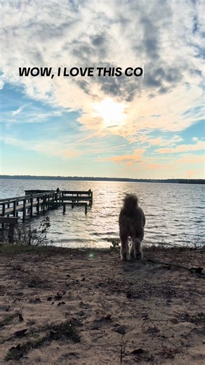 When I tell you I’ve been ALL OVER this country, I mean it. I love so many things about it, and there really is no end to its beauty. There’s also no end to the river of hrshit that pours out of this wht hse, and frankly it’s got me thinking about what other county it might be time to love. I’ll give it 6 months. 🙏🏻😭#bluedotinaredstate #viraldancechallenge #altleftpipeline #trendingremix