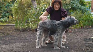 Understanding Your Dog’s Silent Signals: 8 Signs of Fear to Watch For