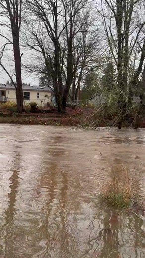 SKOOKUMCHUCK RIVER FLOODING: The Skookumchuck River flows into Bucoda Volunteer Park on Wednesday, Dec. 10. The Skookumchuck River isn't expected to cause flooding downriver in Centralia. In the South Thurston County town of Bucoda, though, the river is approaching moderate flood stage today — where it is predicted to remain through Friday. Video by Chronicle photographer Otto Rabe. | The Chronicle