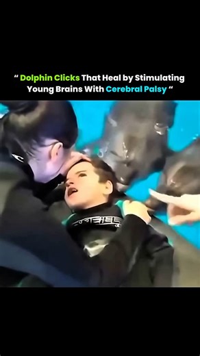 Knowledge Matrix on Instagram: "Dolphins produce high-frequency clicking sounds for communication and echolocation. Researchers have found that these clicks might stimulate brain activity in children with cerebral palsy. The sound waves are believed to help activate neurons and improve cognitive responses. While more studies are needed, early results suggest these natural sounds could support non-invasive therapy in brain development."