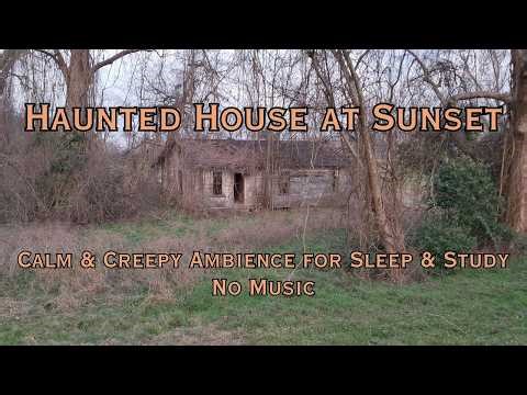Abandoned Haunted House at Sunset | Wind, Creaking Wood, Atmospheric Ambience | No Music