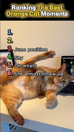 Ranking The BEST Orange Cat Moments #orangecat #funny #cats