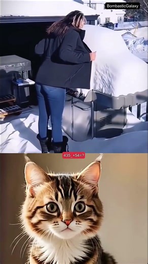 TESTING IN ICE ☠️#tranding #cat #shortsviral