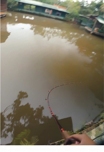 Skipping games 🫣 #fishing #skipping #Pacu #lure