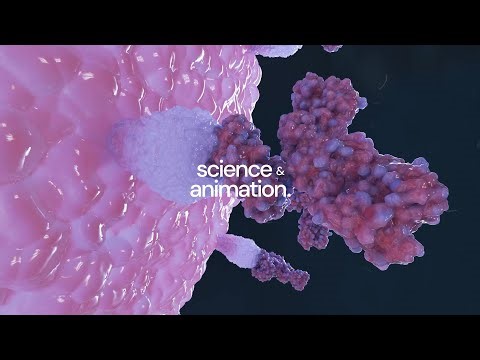 3D Science Animation Showreel | Science & Animation #3danimation #scienceexplained #motiongraphics