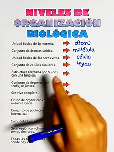 Niveles de organización biológica | Aprende con Yes