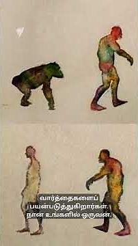 "Not going to be solved with a poster": Does education really stop homophobia? | SBS தமிழ் | Tamil