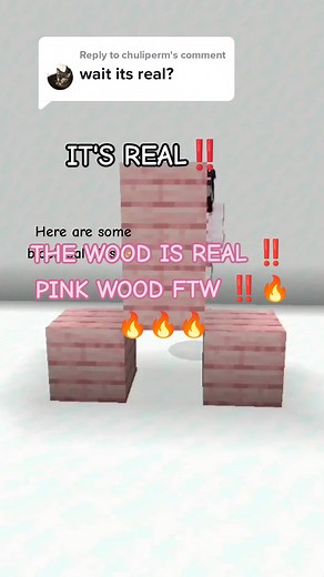 Real Pink Wood: Block Palettes and Minecraft Building