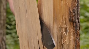 Innovative Woman Unleashes Mind-Blowing Ideas!