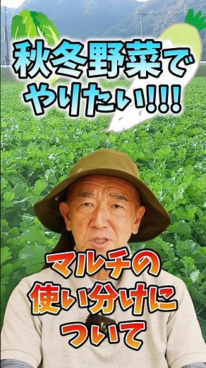 家庭菜園や農園の秋冬野菜栽培でマルチングの秘訣！上手な使い分けのコツと秋冬野菜の育て方！【農家直伝】#shorts