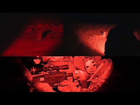 Predator hunting with red lights