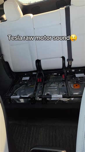 No engine. No revs. No fake noise. Just pure electric motor sound from my Tesla with the seat removed. #tesla #cool #satisfying #cartok | Taylor On Wheels