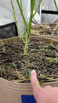 Stop Watering Every Plant the Same