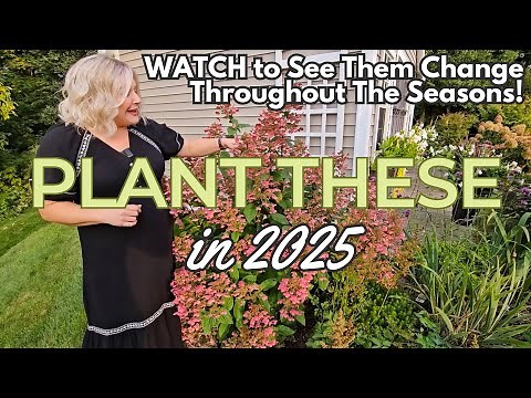 5 Easy & Beautiful Perennials for Your Garden. Proven Winners