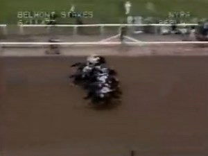 Seattle Slew – 1977 Belmont Stakes: The undefeated warrior sealed his Triple Crown with power and perfection, making history on racing’s grand stage. | Natural life Viewer