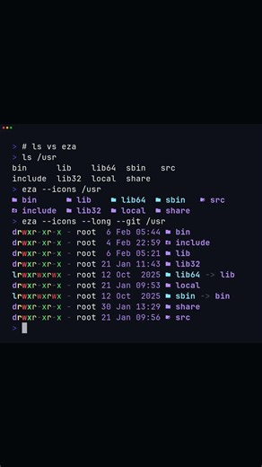 eza - A Modern Replacement for ls With Colors & Icons 🎨 #shorts #coding #terminal