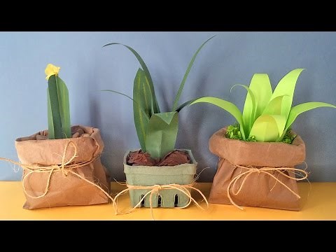 How to Make Paper Plants (Easy)