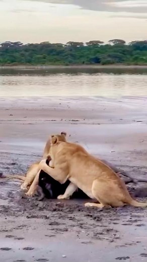 Take it easy | STEVE TV