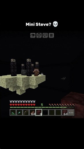 Steve Multiverse?💀 #minecraft