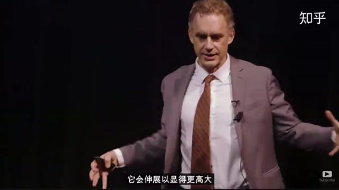 龙虾教授的龙虾理论：你与龙虾相似得惊人┃JordanPeterson