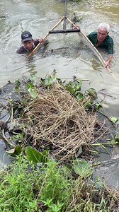 9.8K views · 11 reactions | Unbelievable eel trapping skills with primitive technology for survival #fishing | Survival with Emma | Facebook