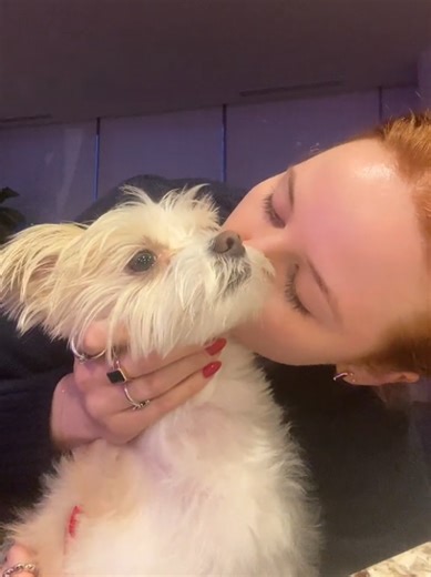 Cheryl Blossom Moments from Riverdale: Madelaine Petsch Highlights