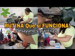 A Routine That Actually Works / Breakfast + Happy Plants and Chores Done with Love #cooking #gard...