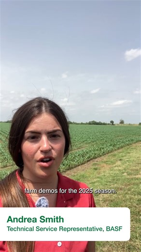 6.7K views · 55 reactions | Join BASF Technical Service Representative Andrea Smith in Arkansas as she checks in on how Surtain™ herbicide is performing in the field. See how Surtain herbicide is rewriting the rules of weed control in corn – with performance that speaks for itself. Explore our Surtain herbicide demo map to find a plot near you and witness the results firsthand: www.surtainherbicide.com #BASFinAg | BASF Agricultural Solutions | Facebook